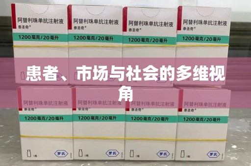 邯郸患者、市场与社会的多维视角