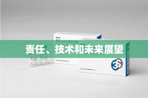 邯郸责任、技术和未来展望