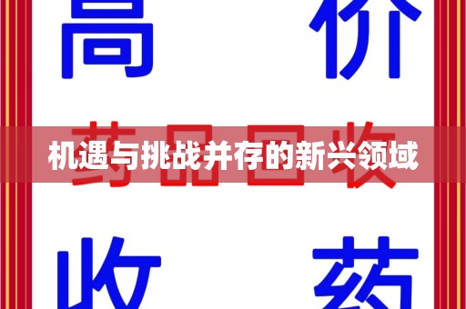 邯郸机遇与挑战并存的新兴领域