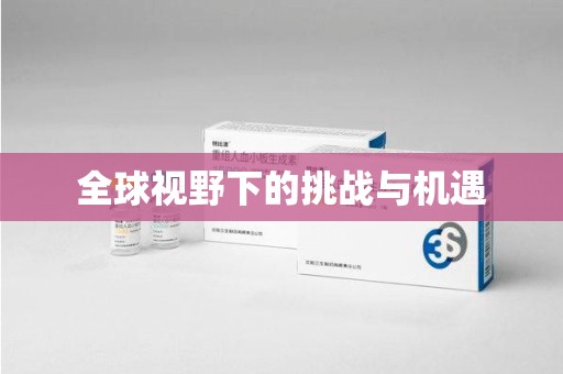邯郸全球视野下的挑战与机遇