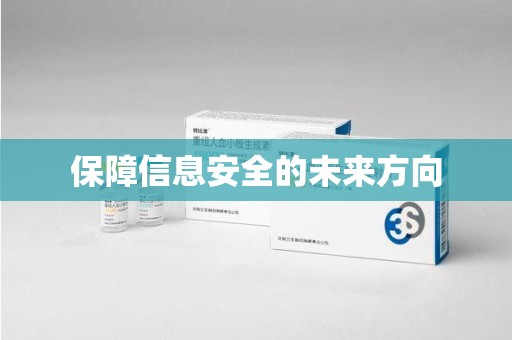 邯郸保障信息安全的未来方向