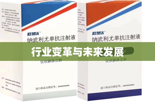 邯郸行业变革与未来发展