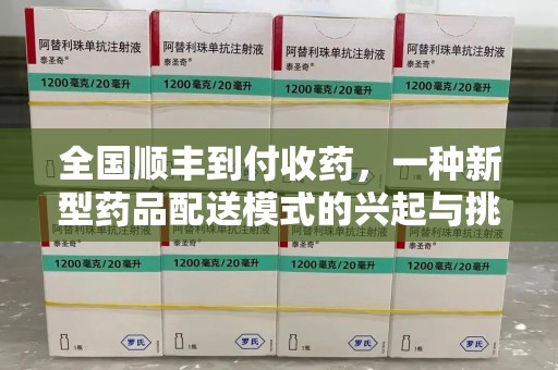 邯郸全国顺丰到付收药，一种新型药品配送模式的兴起与挑战