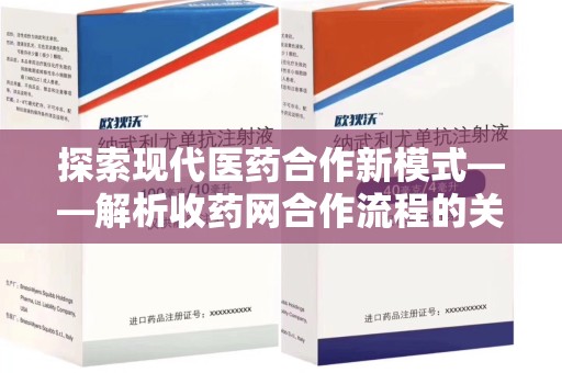 邯郸探索现代医药合作新模式——解析收药网合作流程的关键要素