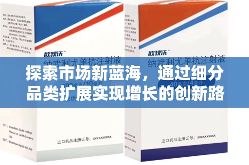 邯郸探索市场新蓝海，通过细分品类扩展实现增长的创新路径