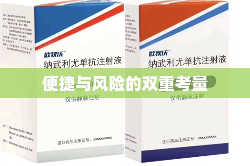邯郸便捷与风险的双重考量