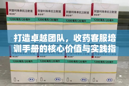 邯郸打造卓越团队，收药客服培训手册的核心价值与实践指南