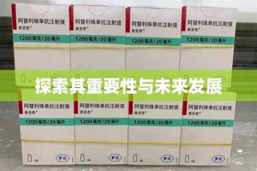 邯郸探索其重要性与未来发展