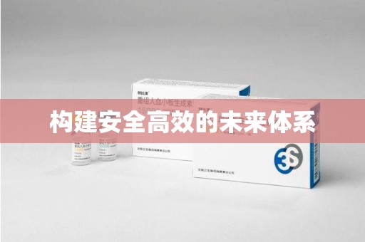 邯郸构建安全高效的未来体系