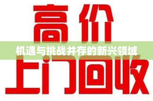 邯郸机遇与挑战并存的新兴领域