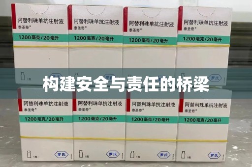 邯郸构建安全与责任的桥梁