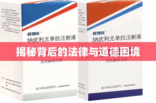 邯郸揭秘背后的法律与道德困境
