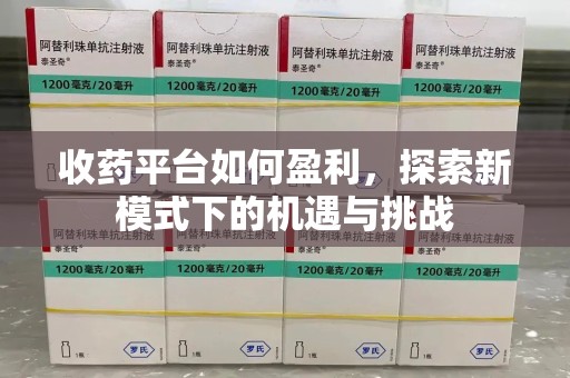 邯郸收药平台如何盈利，探索新模式下的机遇与挑战