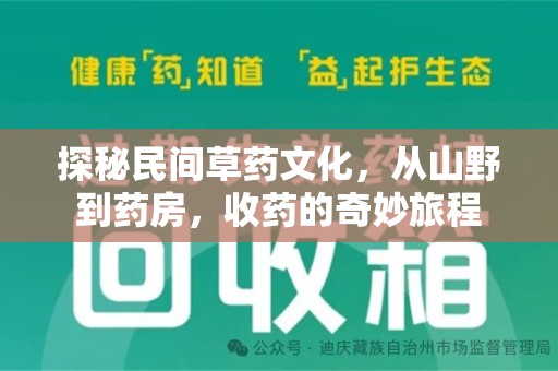 邯郸探秘民间草药文化，从山野到药房，收药的奇妙旅程