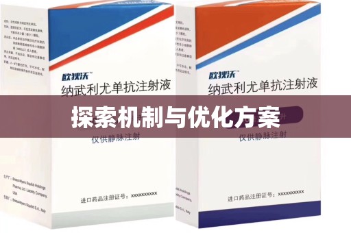 邯郸探索机制与优化方案