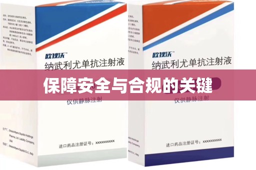 邯郸保障安全与合规的关键