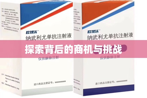 邯郸探索背后的商机与挑战