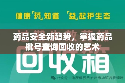 邯郸药品安全新趋势，掌握药品批号查询回收的艺术